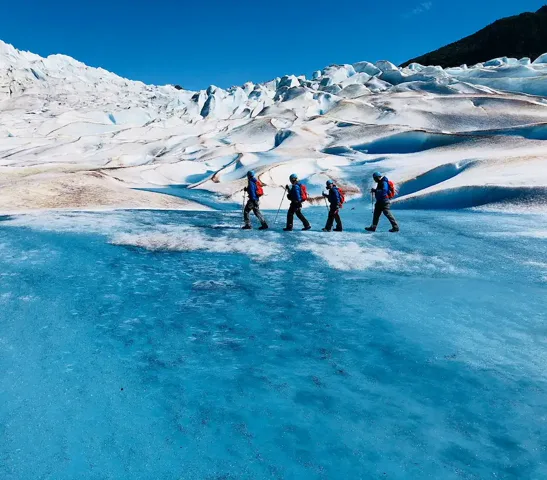Alaska glacier excursion