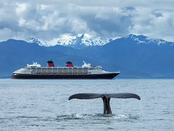 Whale watching from an Alaskan cruise