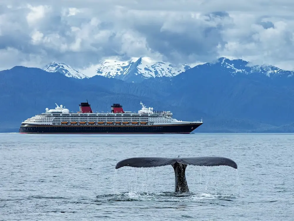 Whale watching from an Alaskan cruise