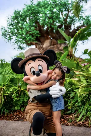 Tree of Life at Disney's Animal Kingdom
