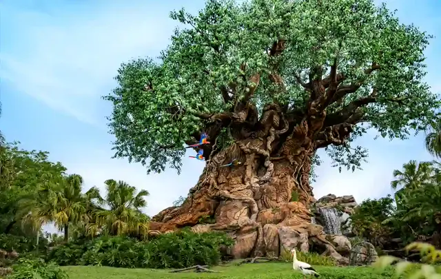 Disney's Animal Kingdom