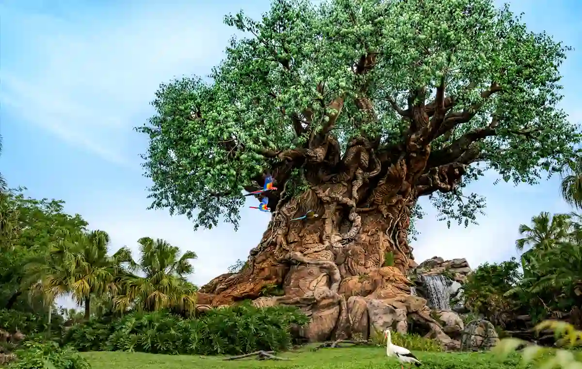 Disney's Animal Kingdom