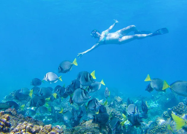 Snorkeling excursion in Los Cabos