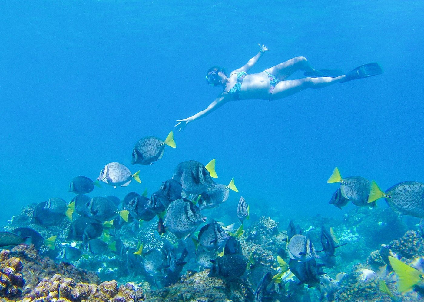 Snorkeling excursion in Los Cabos